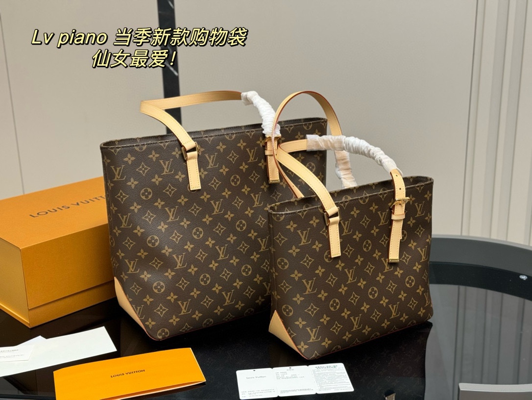 Louis Vuitton Vintage Bags (Large and Small)