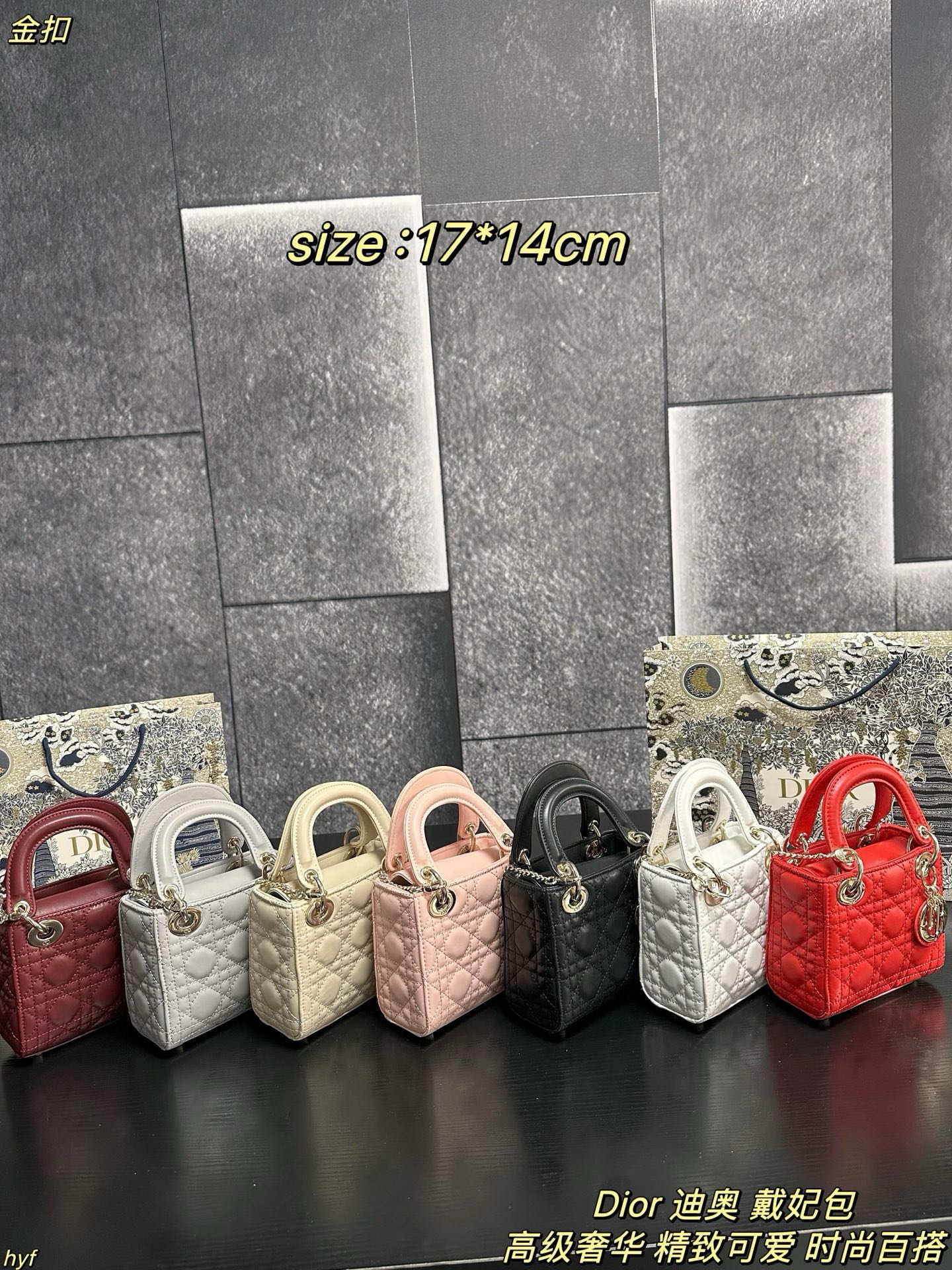 Lady Dior Mini (3-Grid)